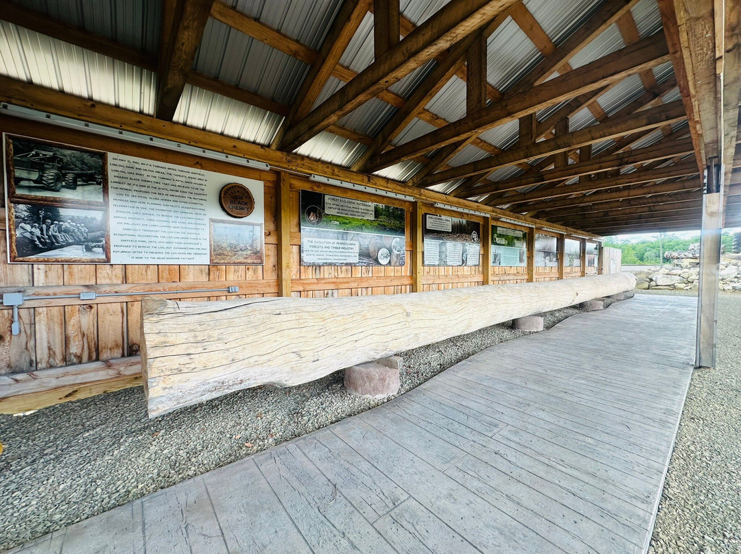 The Wilds Sonshine Factory-Kane必去景点