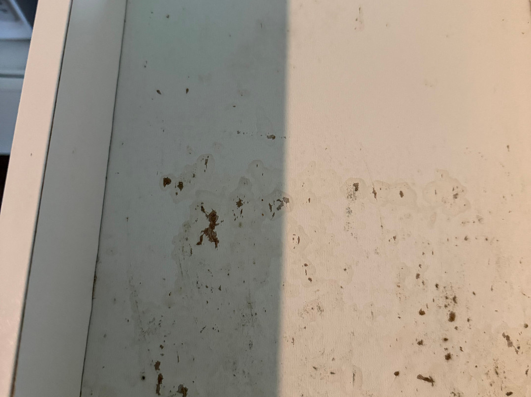 墨尔本棕榈湾温德姆拉昆塔套房酒店主图