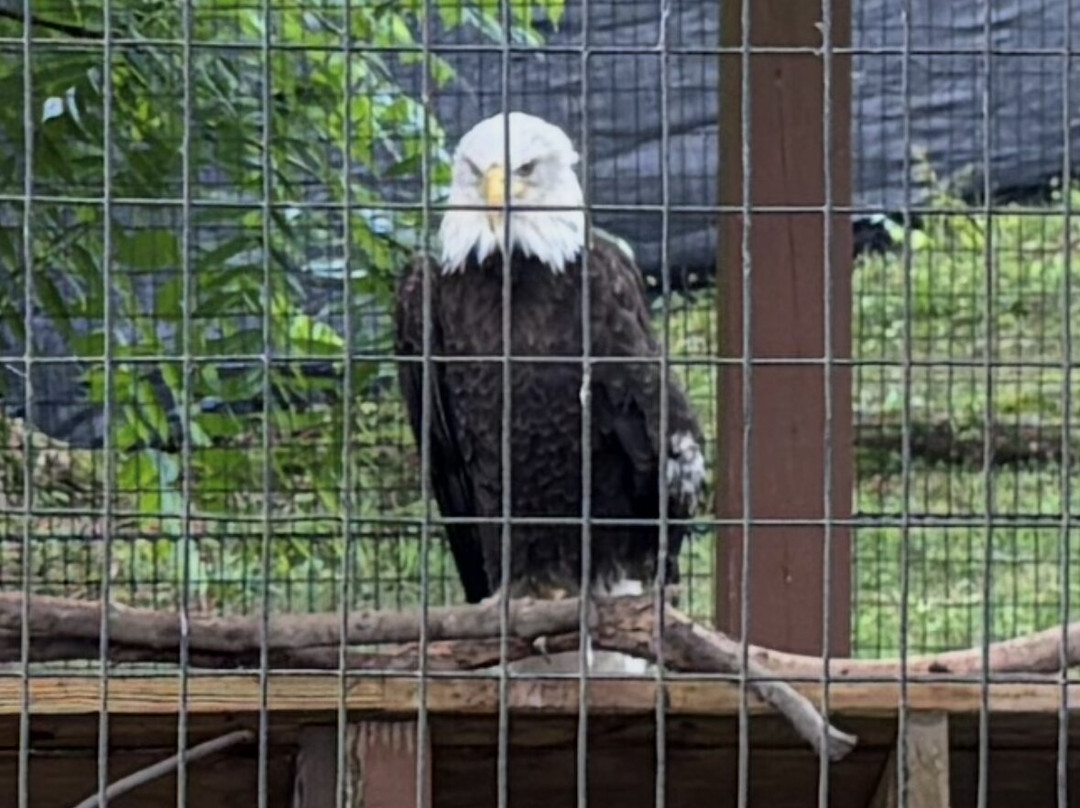 Lehigh Valley Zoo-Schnecksville必去景点