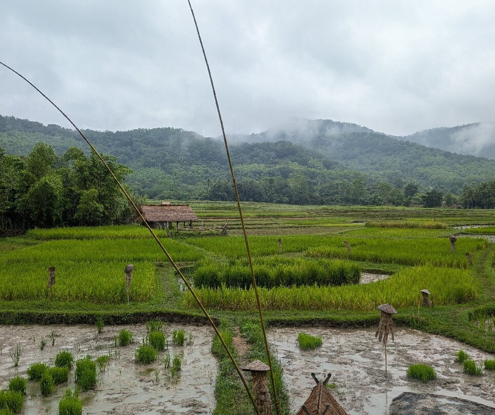 Living Land农场体验之旅-琅勃拉邦必去景点