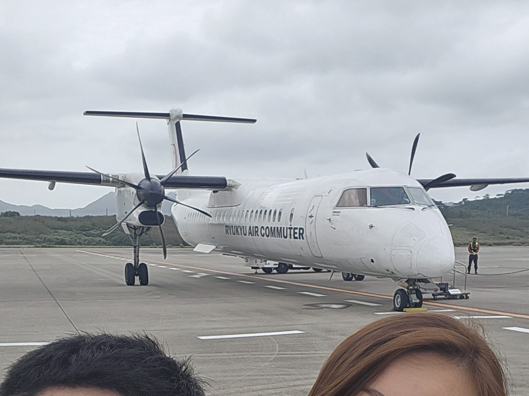 Painushima Ishigaki Airport Observation Deck-石垣市必去景点