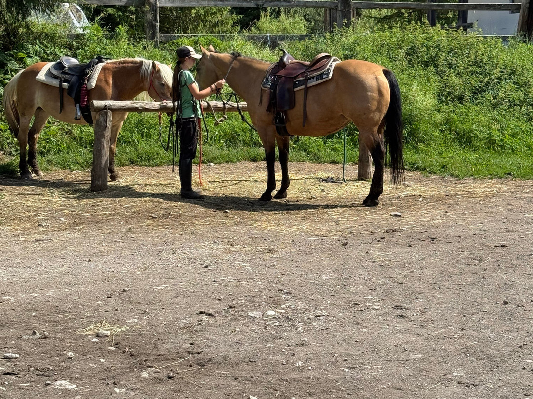 Charlotte Horse Riding-Campitello di Fassa必去景点