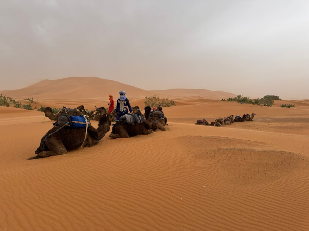 Morocco Kingdom-非斯必去景点
