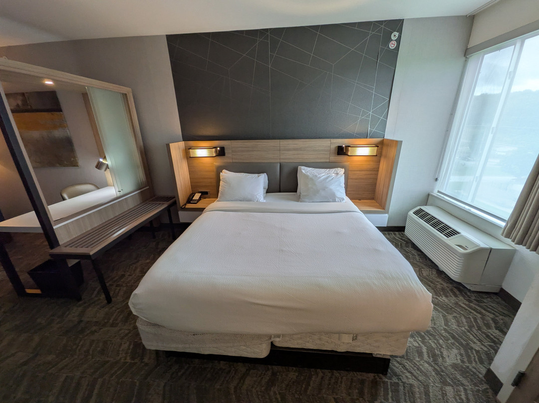 哥伦比亚SpringHill Suites酒店主图