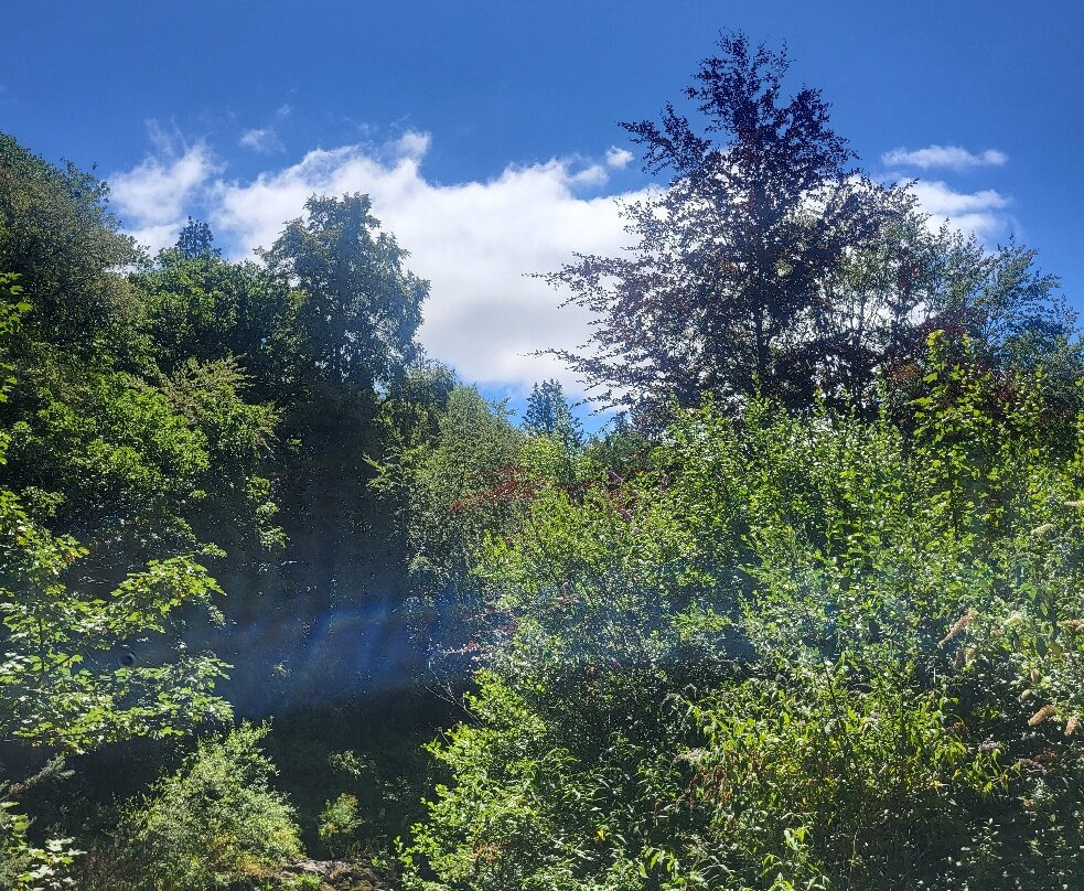 River Dart Country Park-Ashburton必去景点