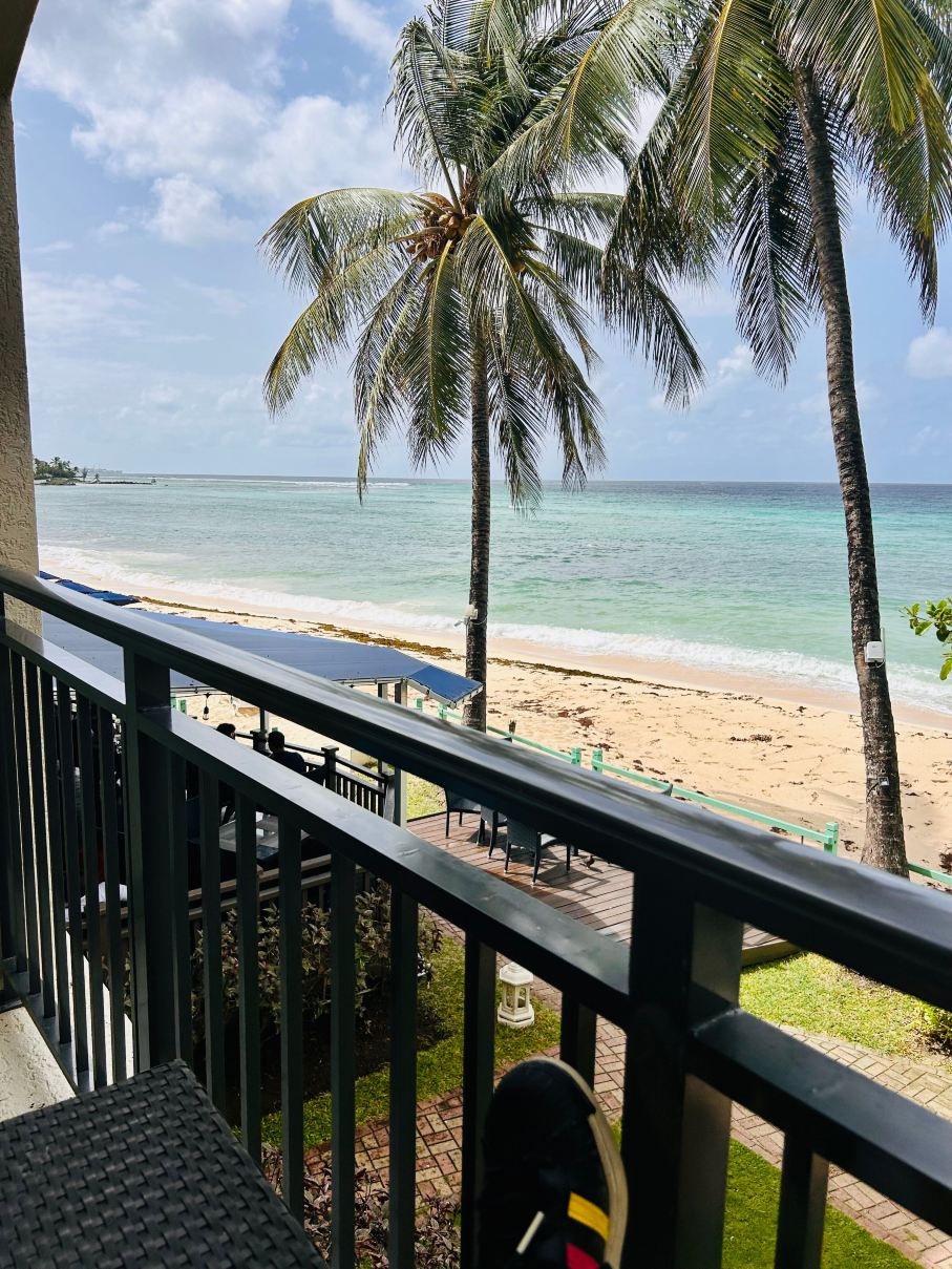 珊瑚雾海滩酒店-旅行者