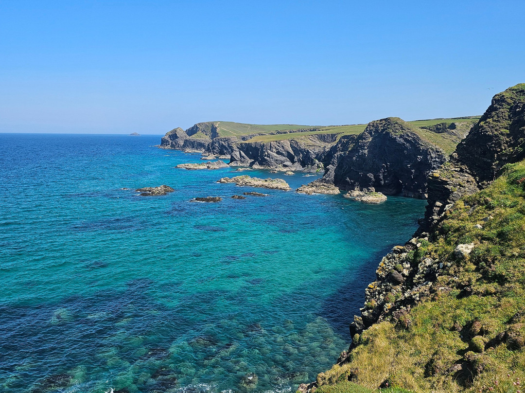 Selkie Adventures