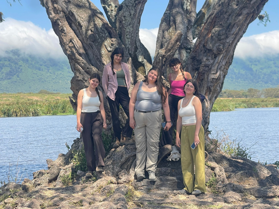 African Travel Tour-阿鲁沙国家公园必去景点