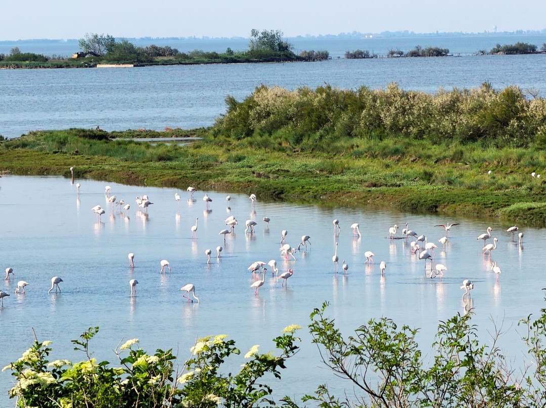 Parco Delta Del Po-科马基奥必去景点