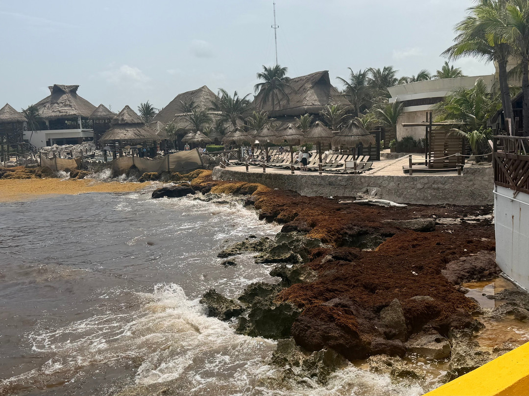 Costa Maya Cruise Port-Mahahual必去景点