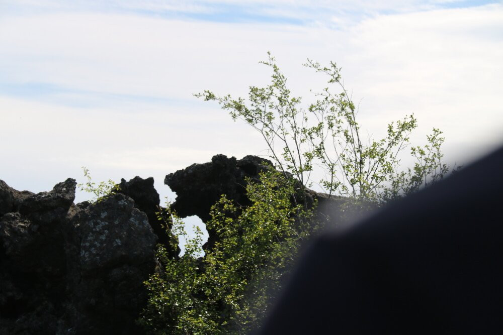 Dimmuborgir Lava Formations-米湖必去景点