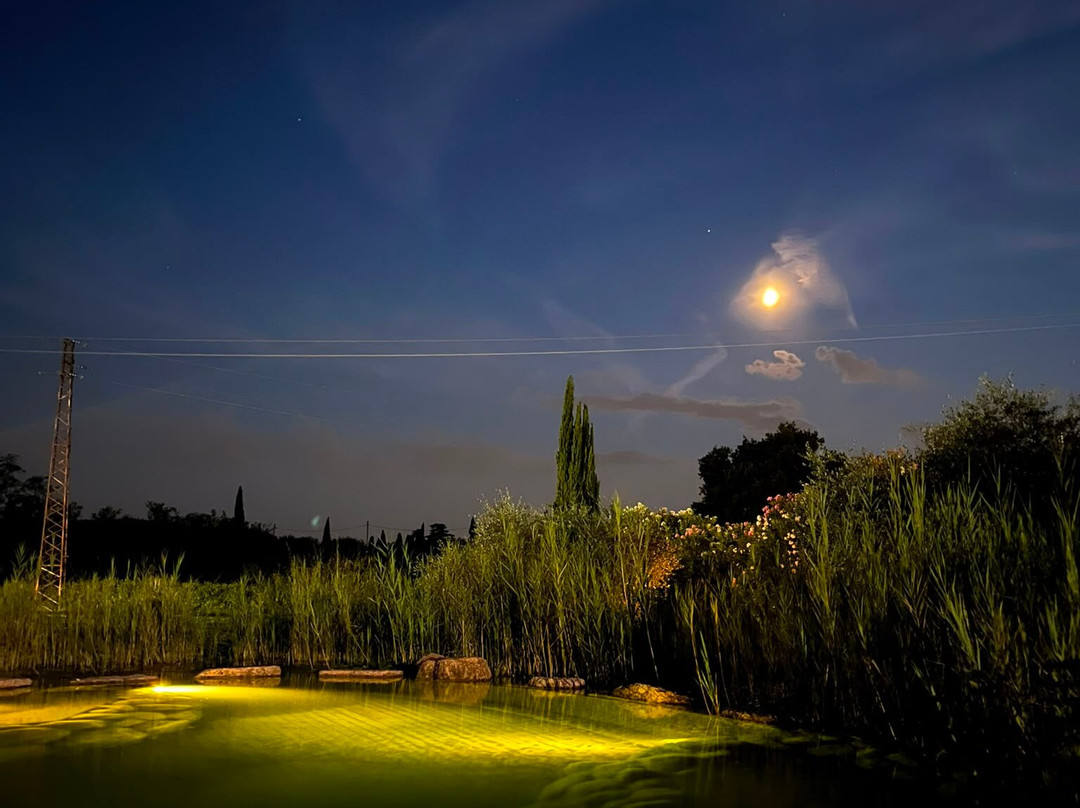 Agriturismo Casa Aurora主图
