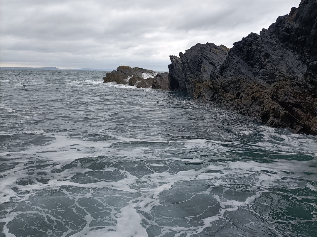 A Bay To Remember Wildlife Boat Trips-St. Dogmaels必去景点