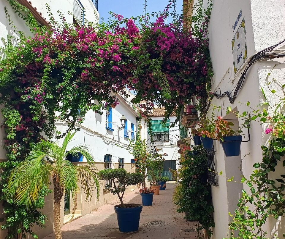 Estepona Town-埃斯特波纳必去景点