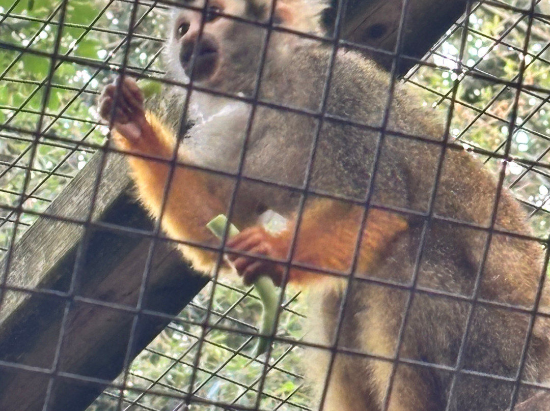 Shaldon Wildlife Trust-Shaldon必去景点
