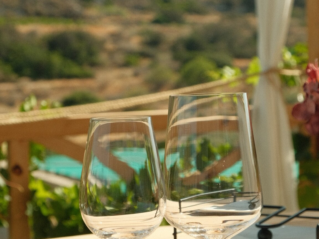 Para Kopois Winery-Parakopi必去景点