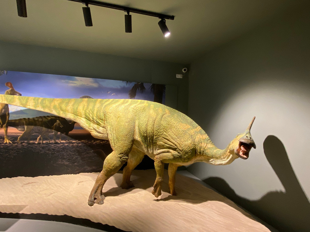Conca Della Museum-Isona必去景点