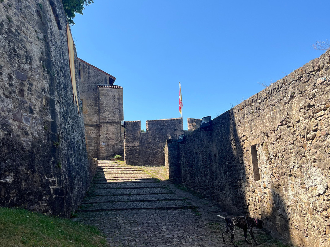 Chateau des Ducs de Lorraine-Sierck-les-Bains必去景点