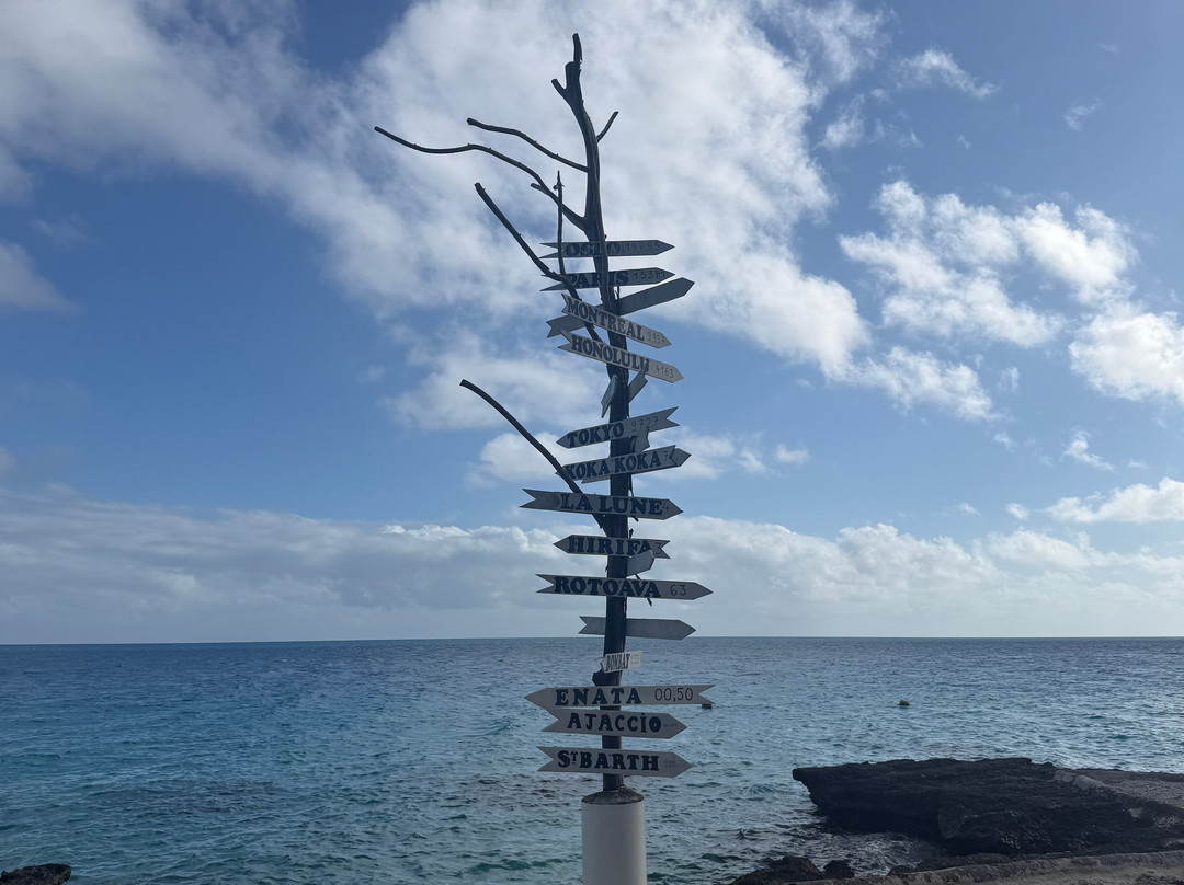 Raimiti主图