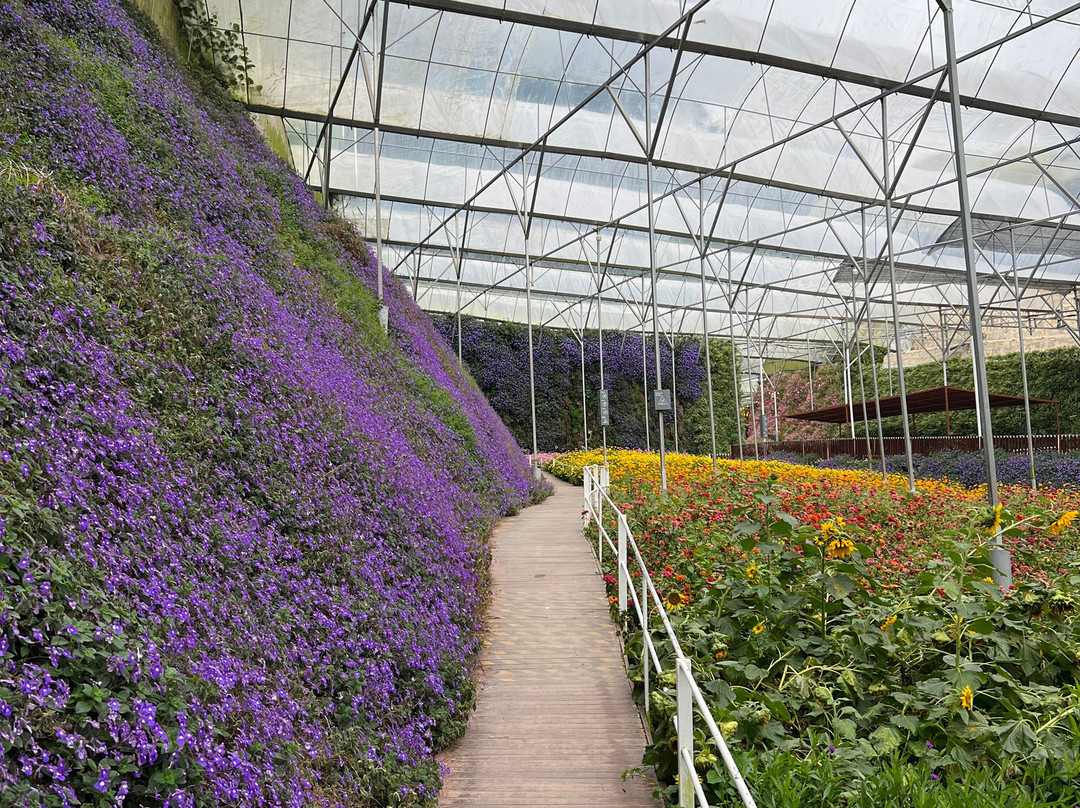 Cameron Highlands Flora Park-碧兰璋必去景点