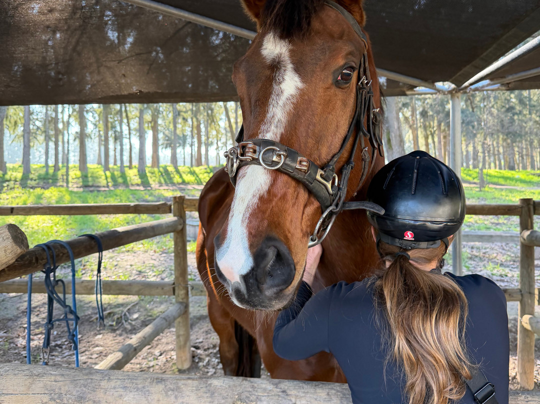 Equine Sport Centre-斯泰伦博斯必去景点
