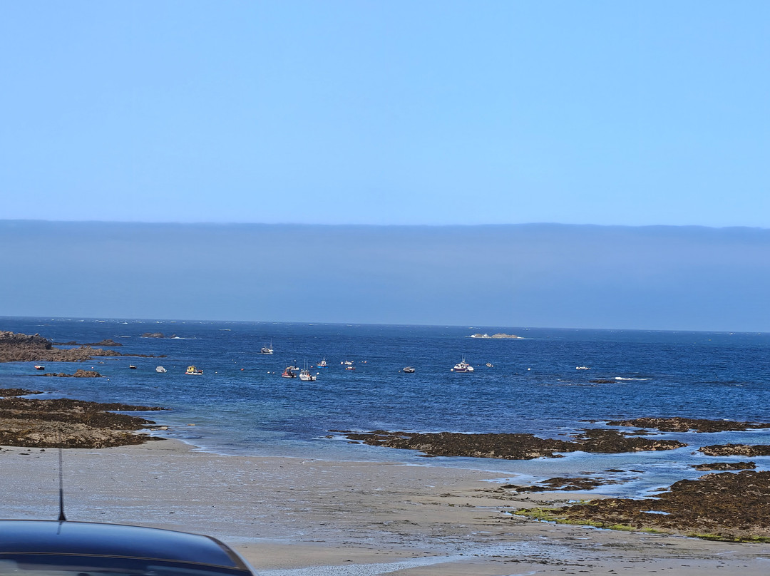 Island Coachways-St Peter Port必去景点