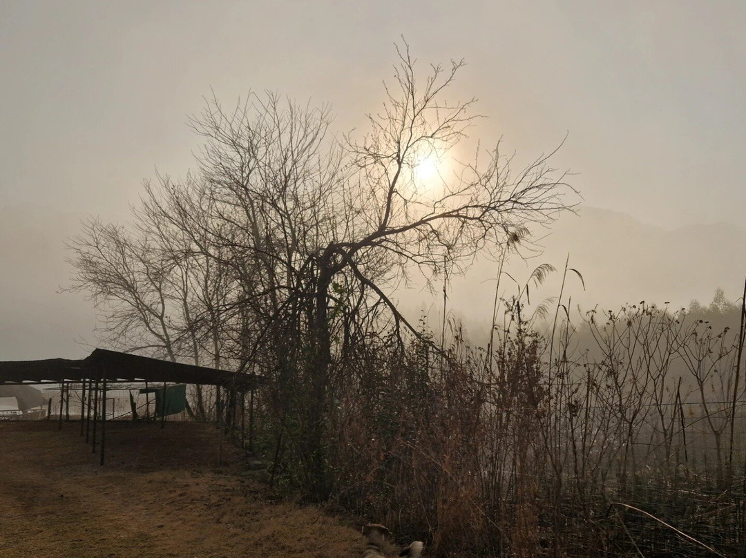 埃玛拉提尼农场旅馆