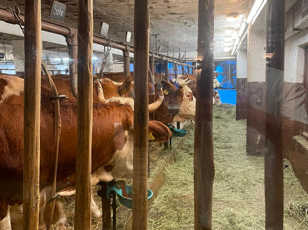 斯坦格维特生物与健康酒店主图