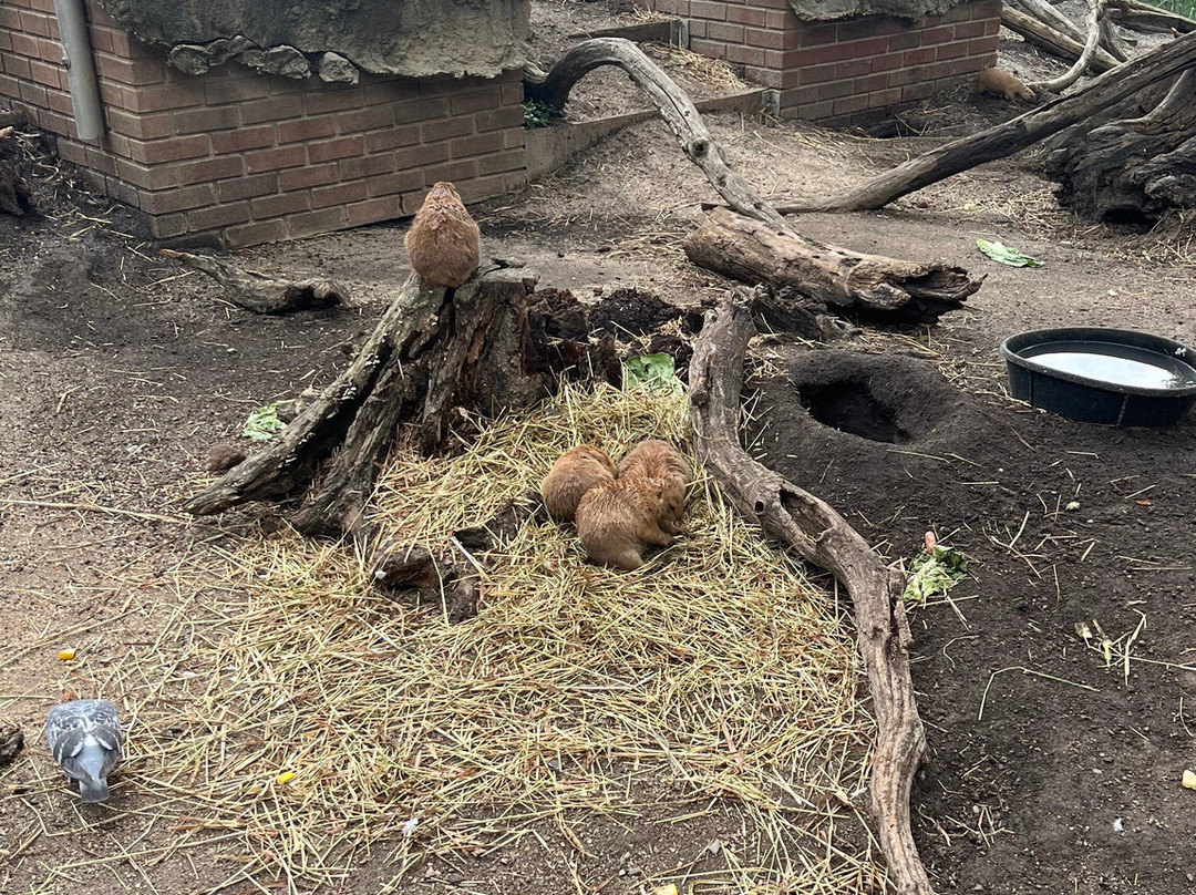 Turtle Back Zoo-西奥兰治必去景点