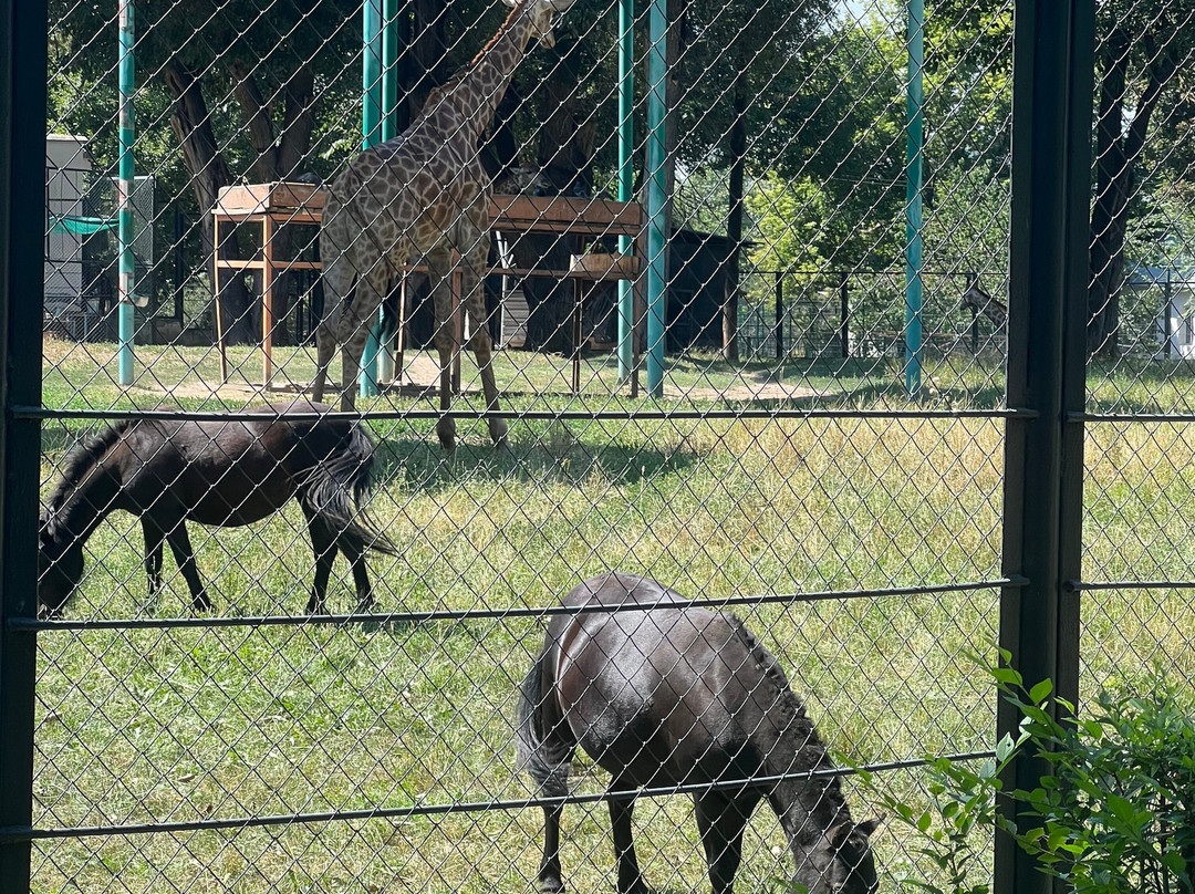 Almaty Zoo-阿拉木图必去景点
