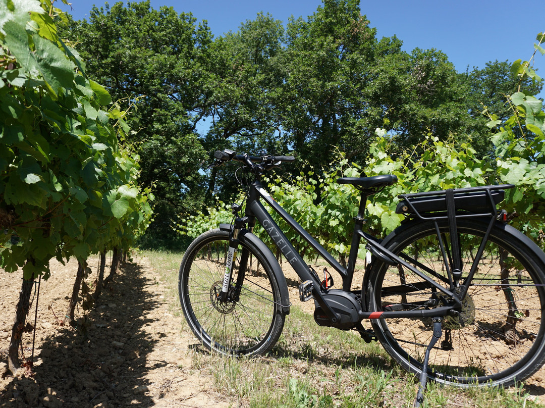 Sun-E-Bike-Bonnieux必去景点