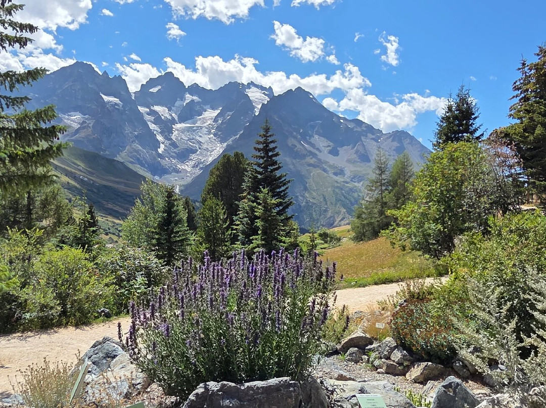 Jardin Botanique Alpin du Lautaret-Villar-d'Arene必去景点