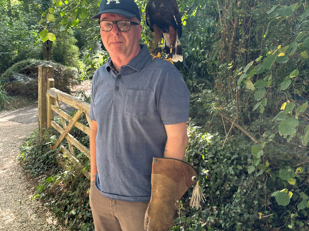The Falconry Experience-纽波特必去景点