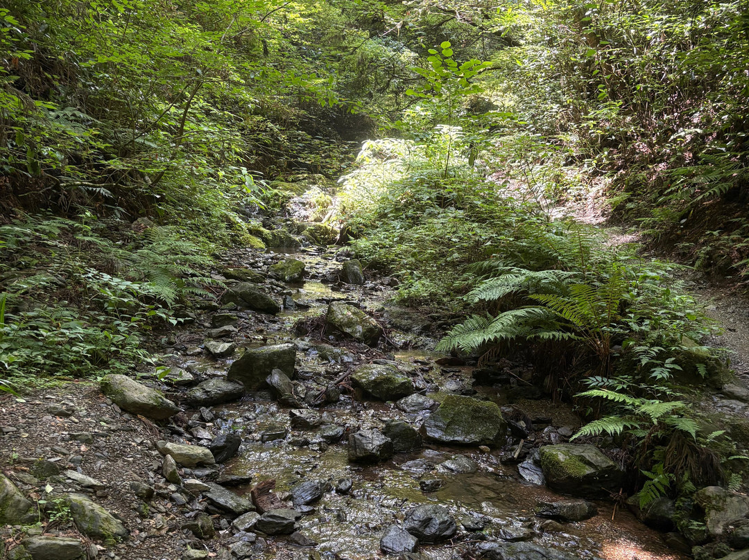 高尾山-八王子市必去景点