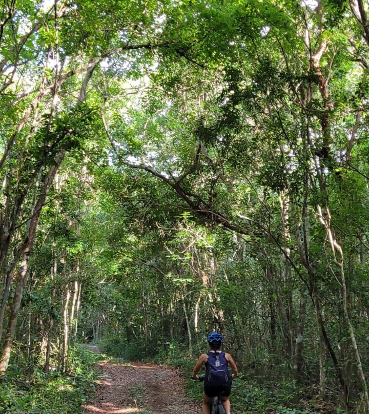 Báalam Nah; Experiencias de Aventura.-Felipe Carrillo Puerto必去景点