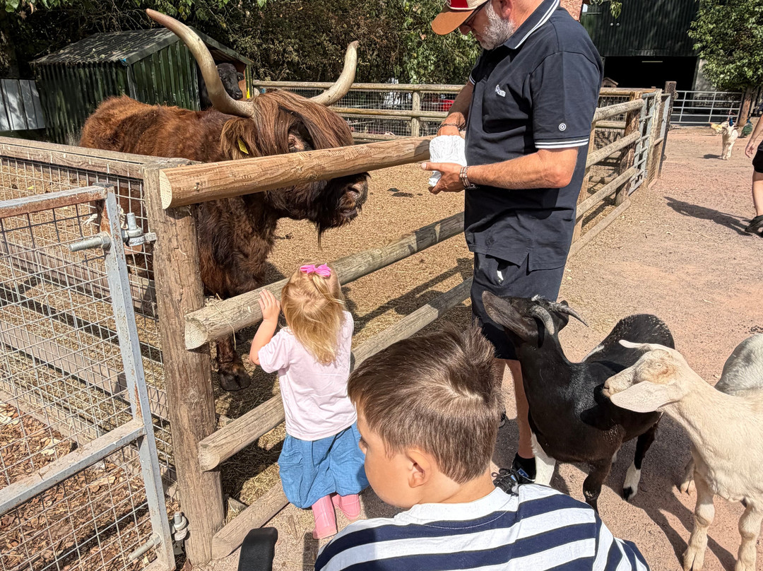 Walnut Tree Farm Park-St. Brides Wentlooge必去景点