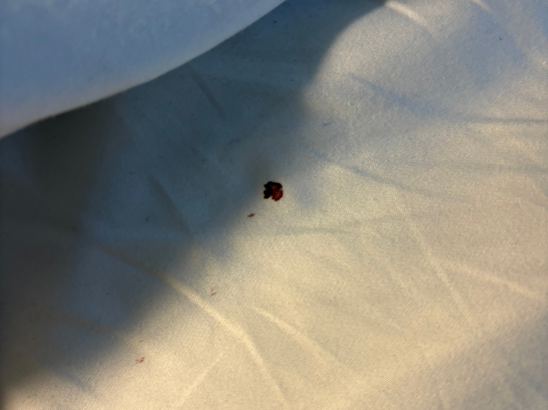 斯瓦科普蒙德标准酒店主图