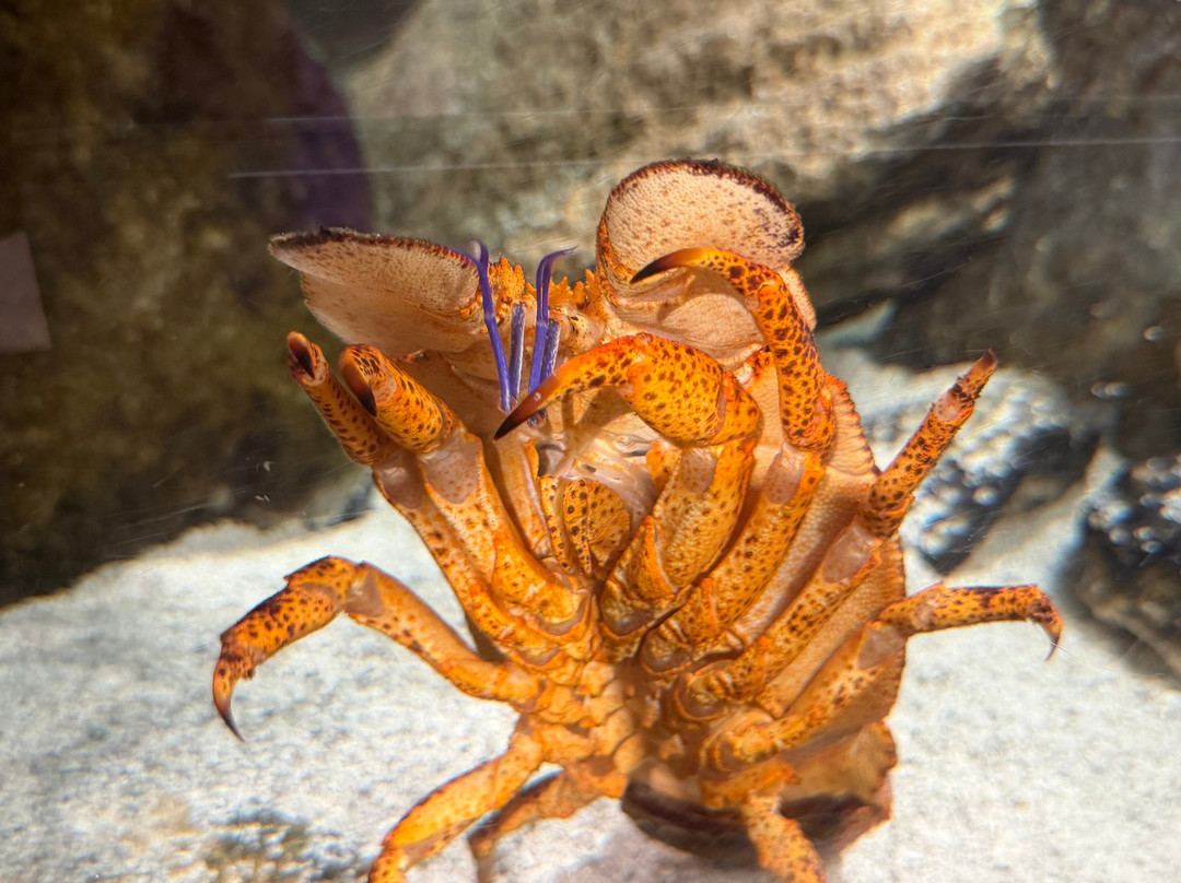 Florida Oceanographic Coastal Center-斯图尔特必去景点