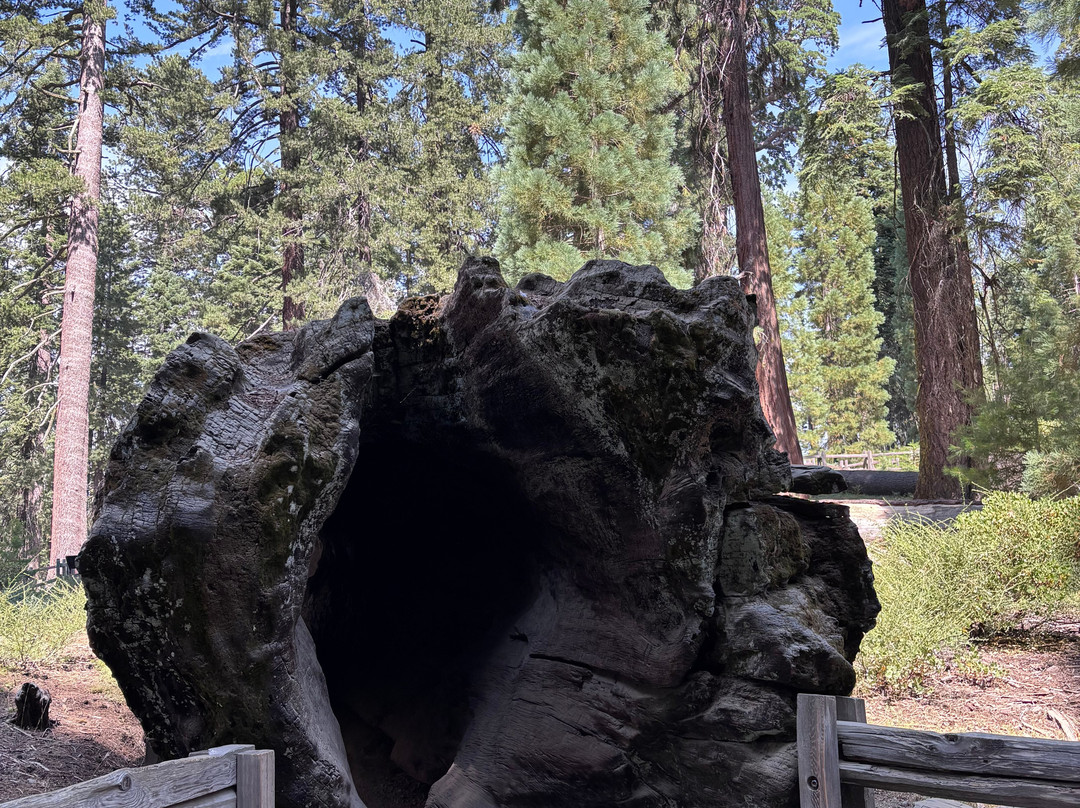 Kings Canyon-红杉&国王峡谷国家公园必去景点