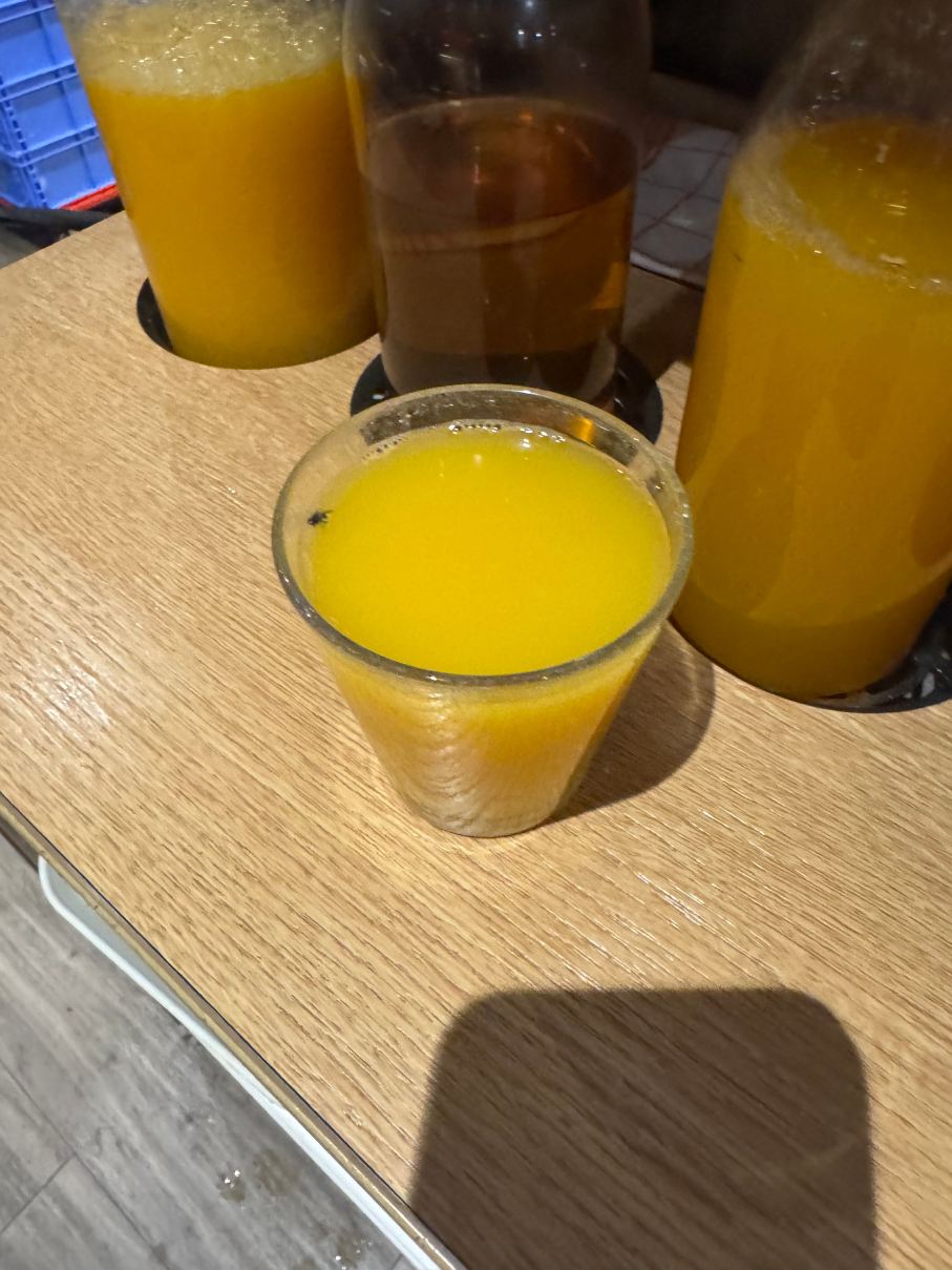 宜必思斯希普霍尔阿姆斯特丹机场酒店-旅行者