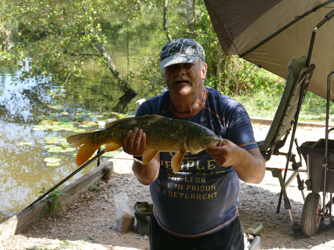 Luccombes Coarse Fishery-Exminster必去景点
