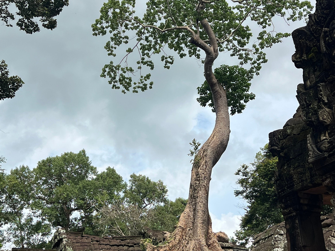 Angkor en Espanol-暹粒必去景点
