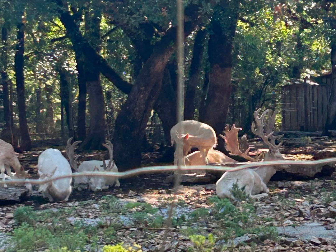 Parc Animalier De Gramat-Gramat必去景点