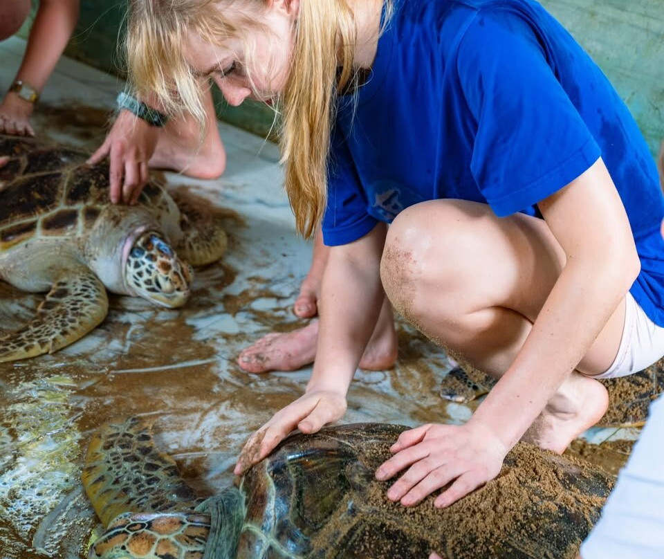 Sea Turtle Farm Galle Mahamodara-加勒必去景点