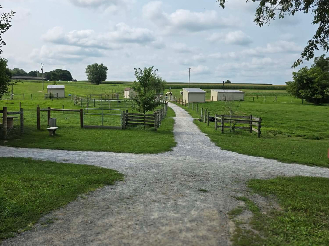 Li'l Country Store and Miniature Horse Farm-Ronks必去景点