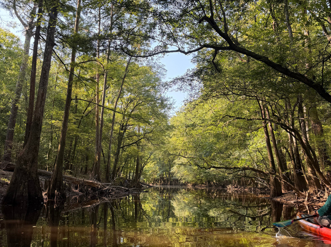 Carolina Outdoor Adventures-厄莫必去景点