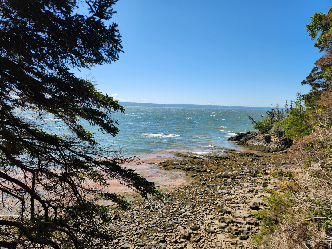 Cape Split Hiking Trail-Scots Bay必去景点