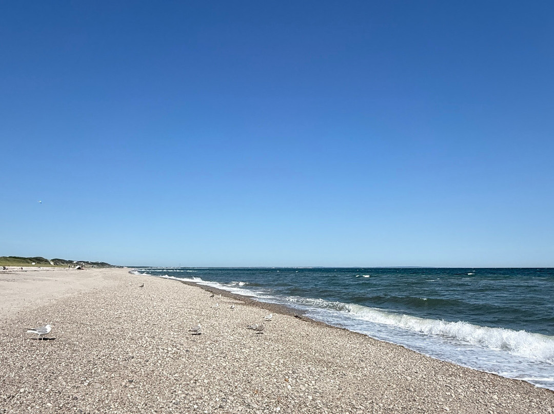 Sandy Neck Beach-桑威奇必去景点