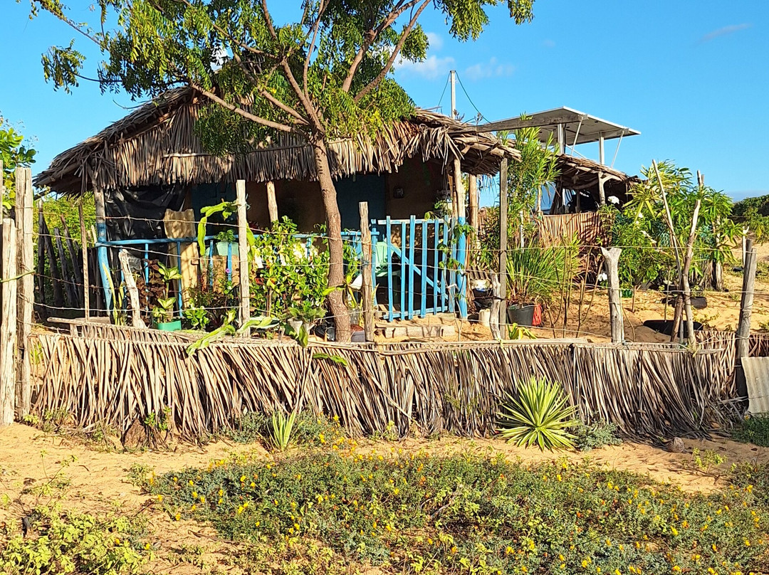 Aventura Eco Brasil-Barra de Sao Miguel必去景点