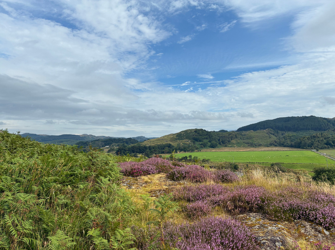 Dunadd Fort-Lochgilphead必去景点